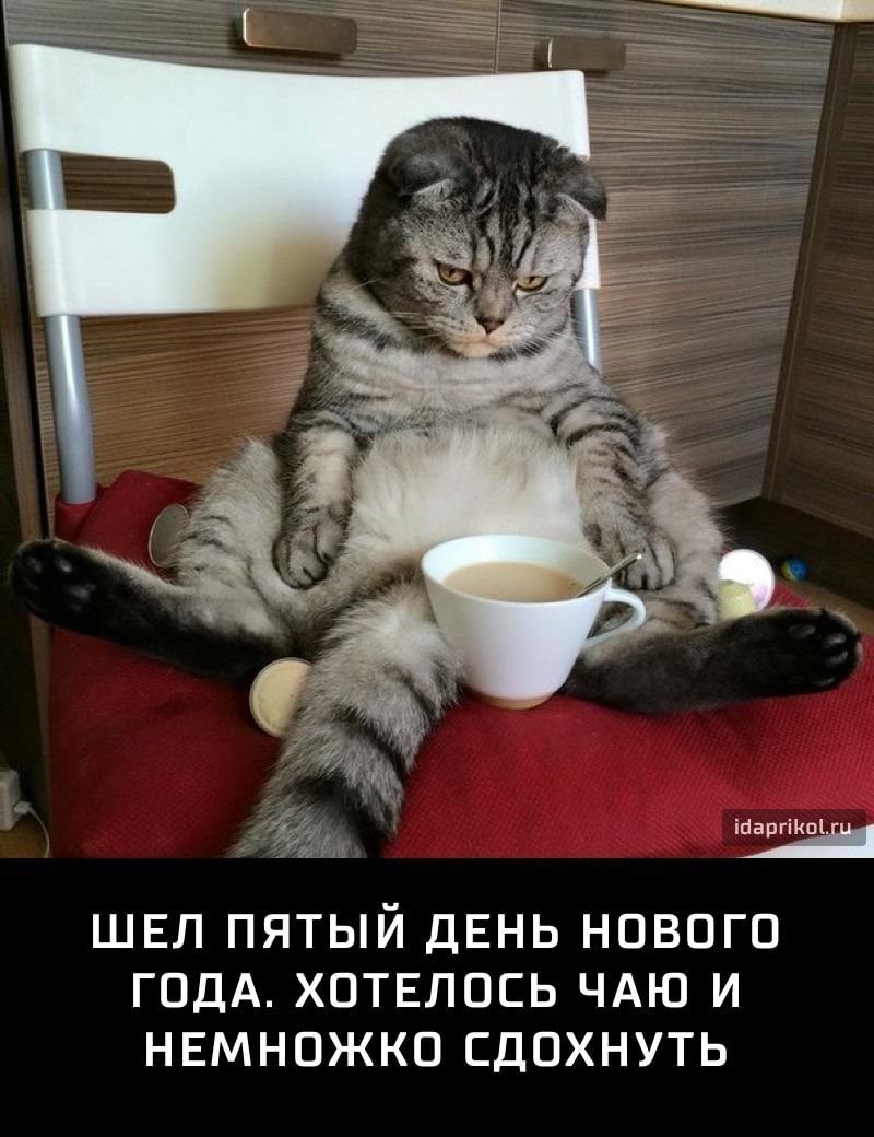 Открытки с пятницей