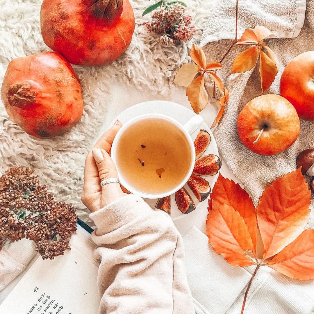 Доброе утро осень