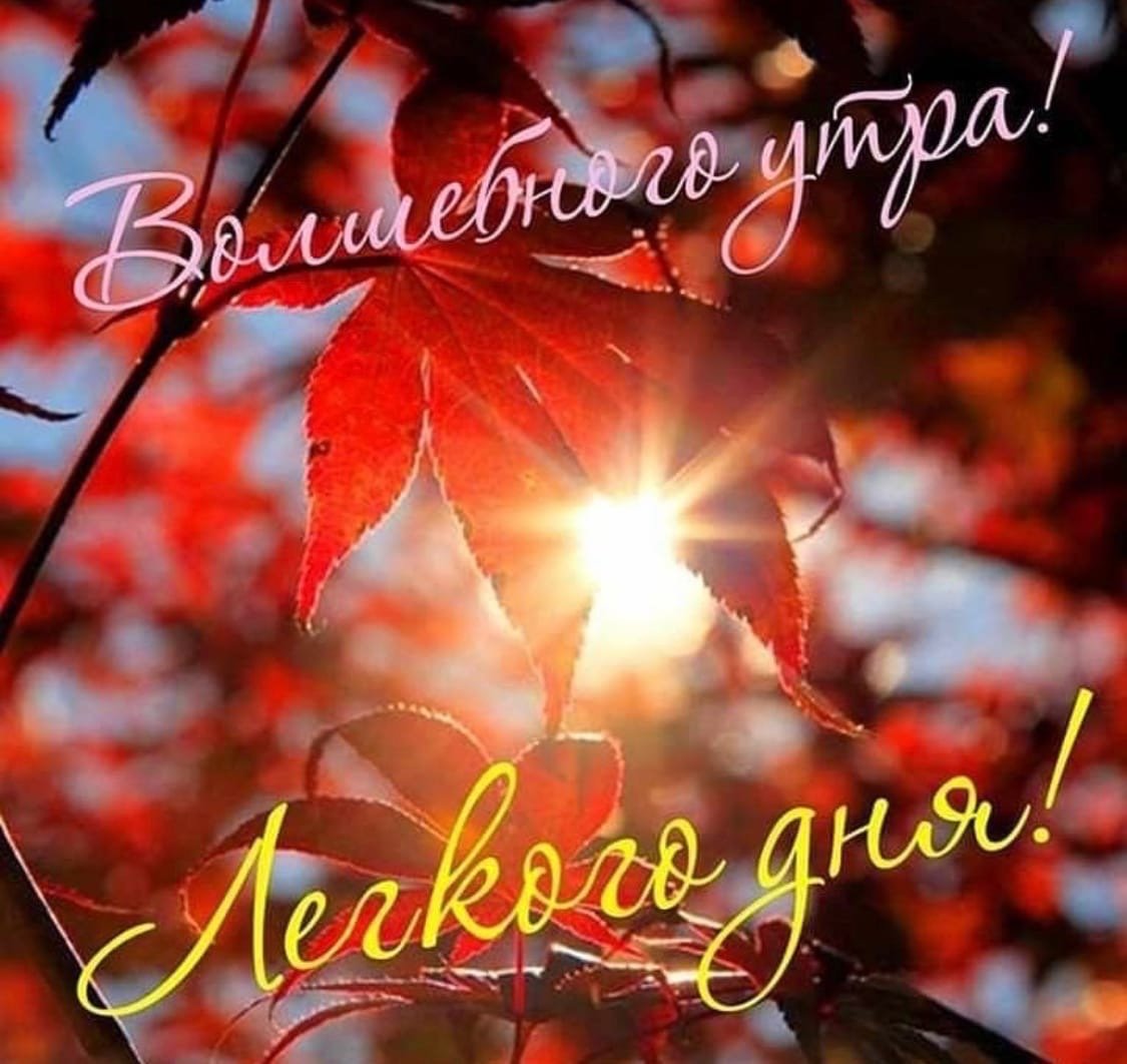 С добрым осенним