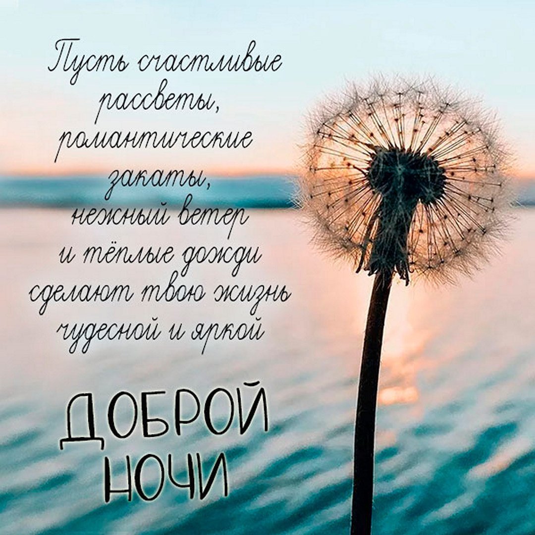 Цитаты на каждый день