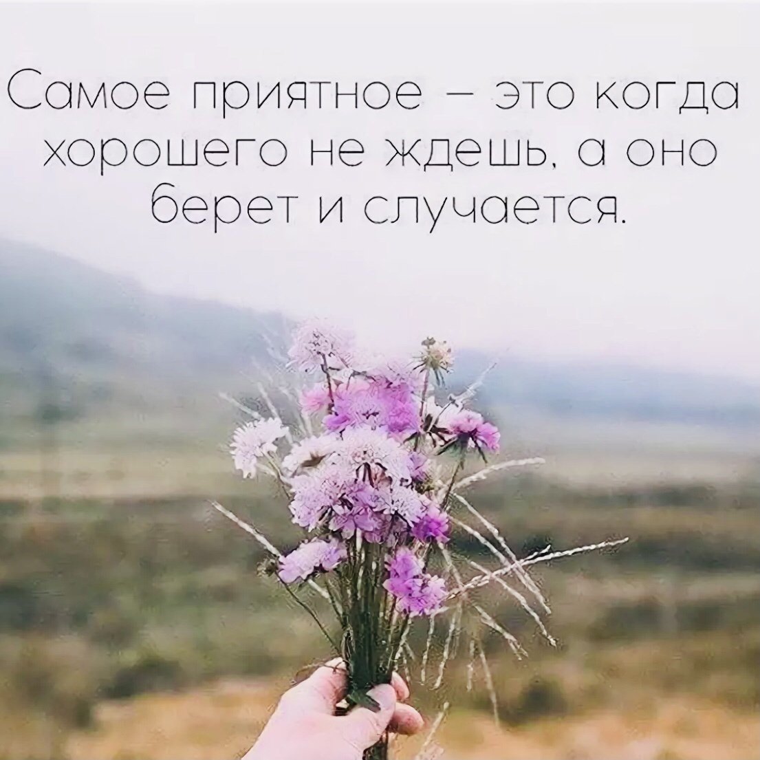 Позитивные мысли цитаты