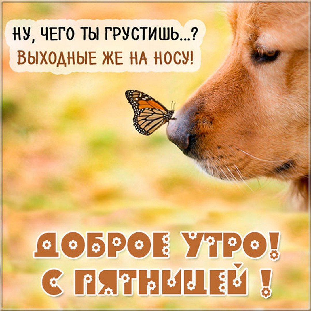Утро кофе пятница