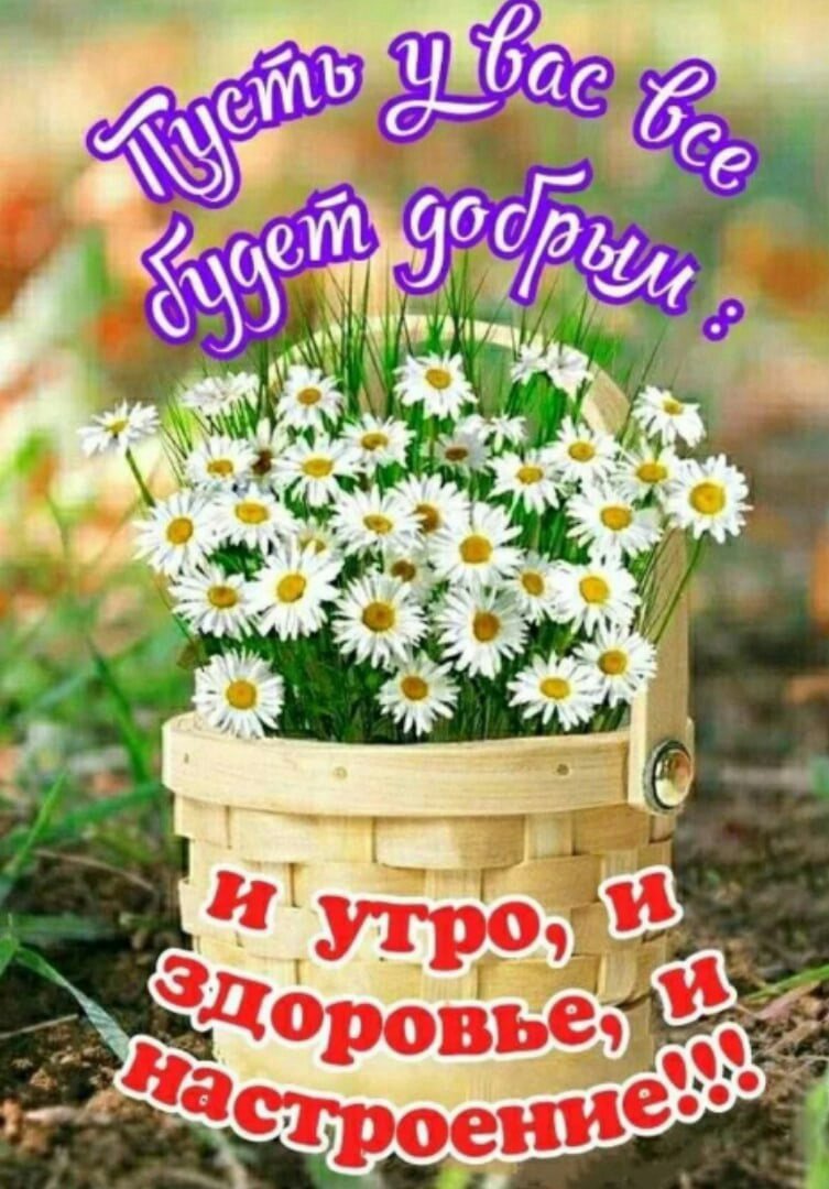 Букет здоровья