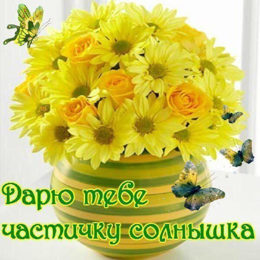 Прекрасного дня и отличного настроения