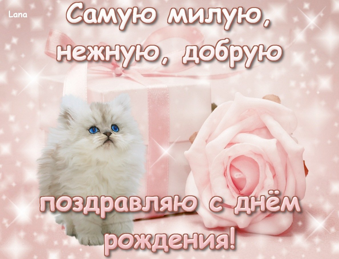 Поздравления с днём рождения открытки