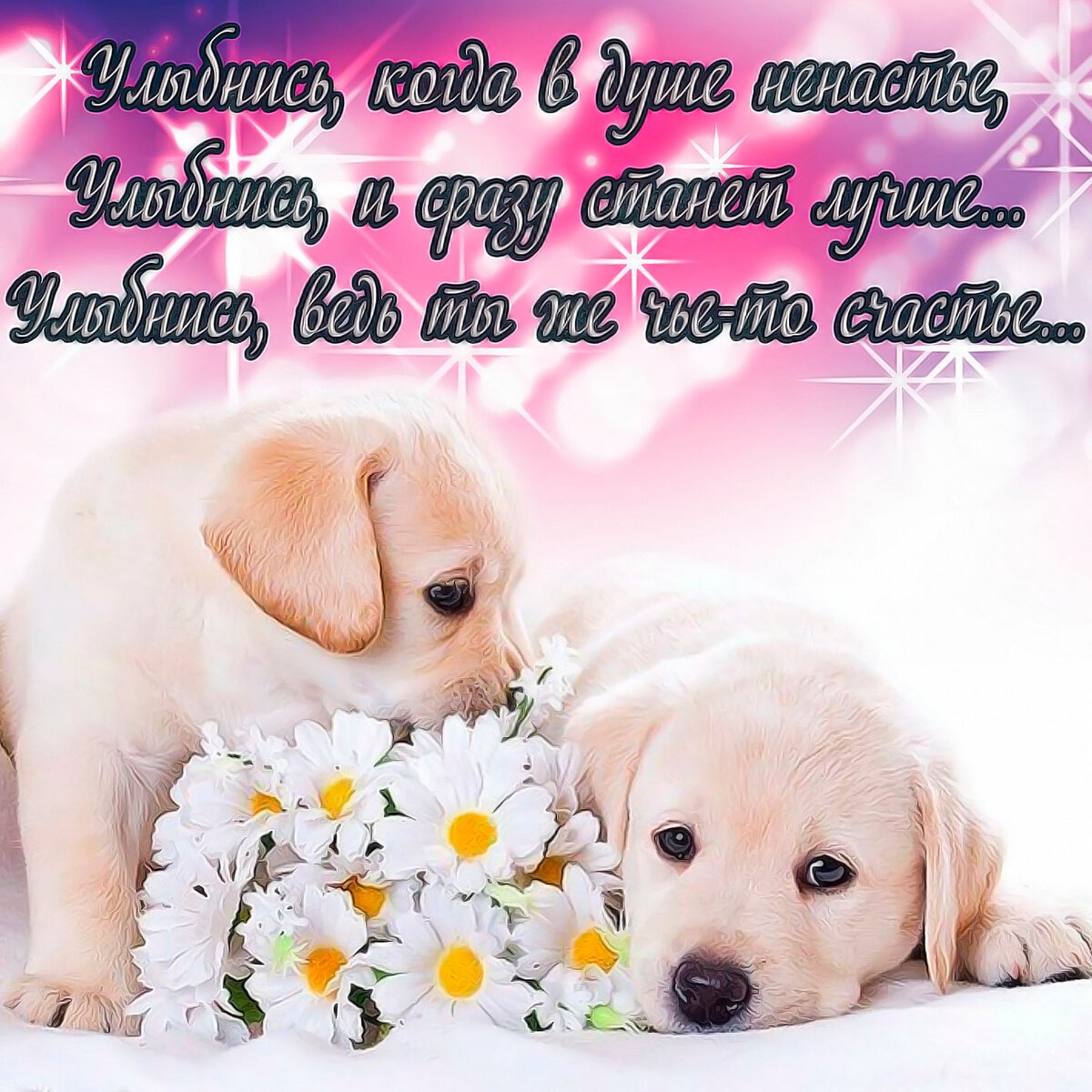 Картинки с добрыми пожеланиями