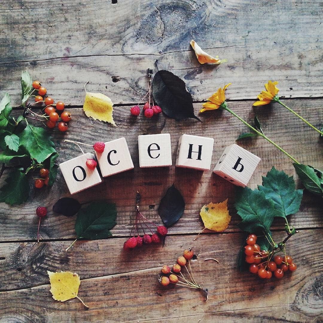 Пожелания с добрым утром с природой