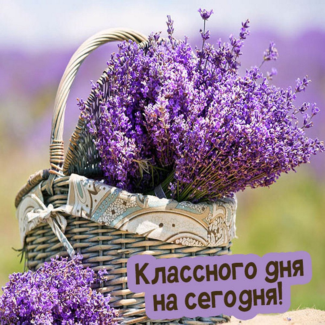 Открытки с добрым утром с природой