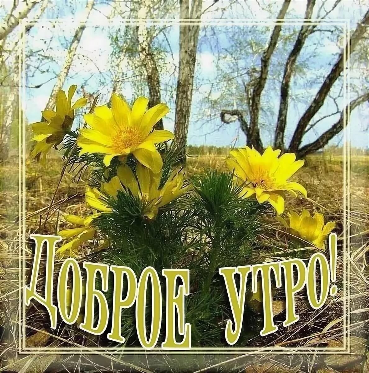 Открытка "удачи!"