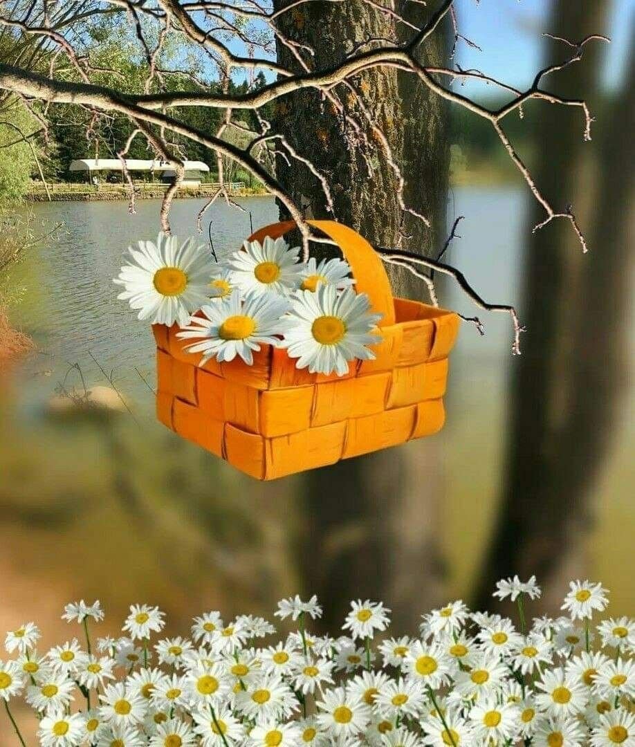 Доброе утро хорошего дня природа