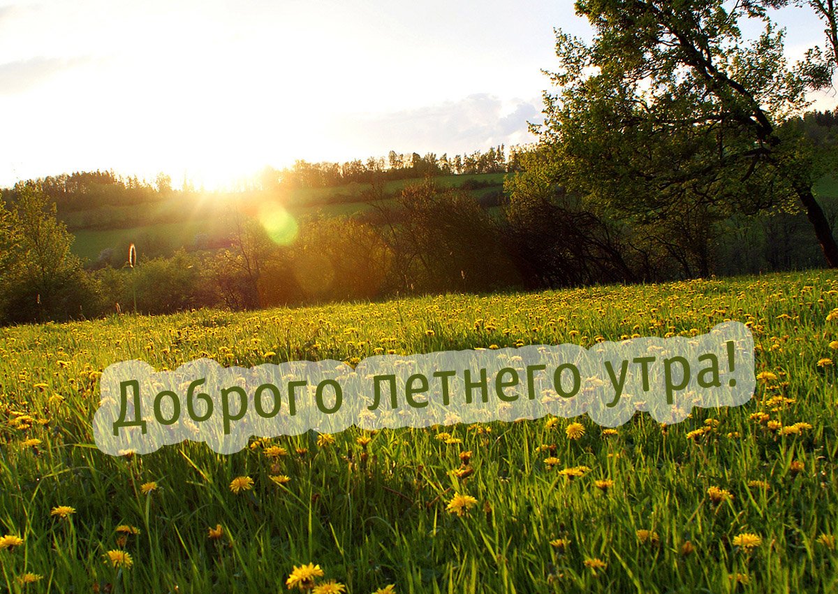 Пожелания хорошего весеннего дня