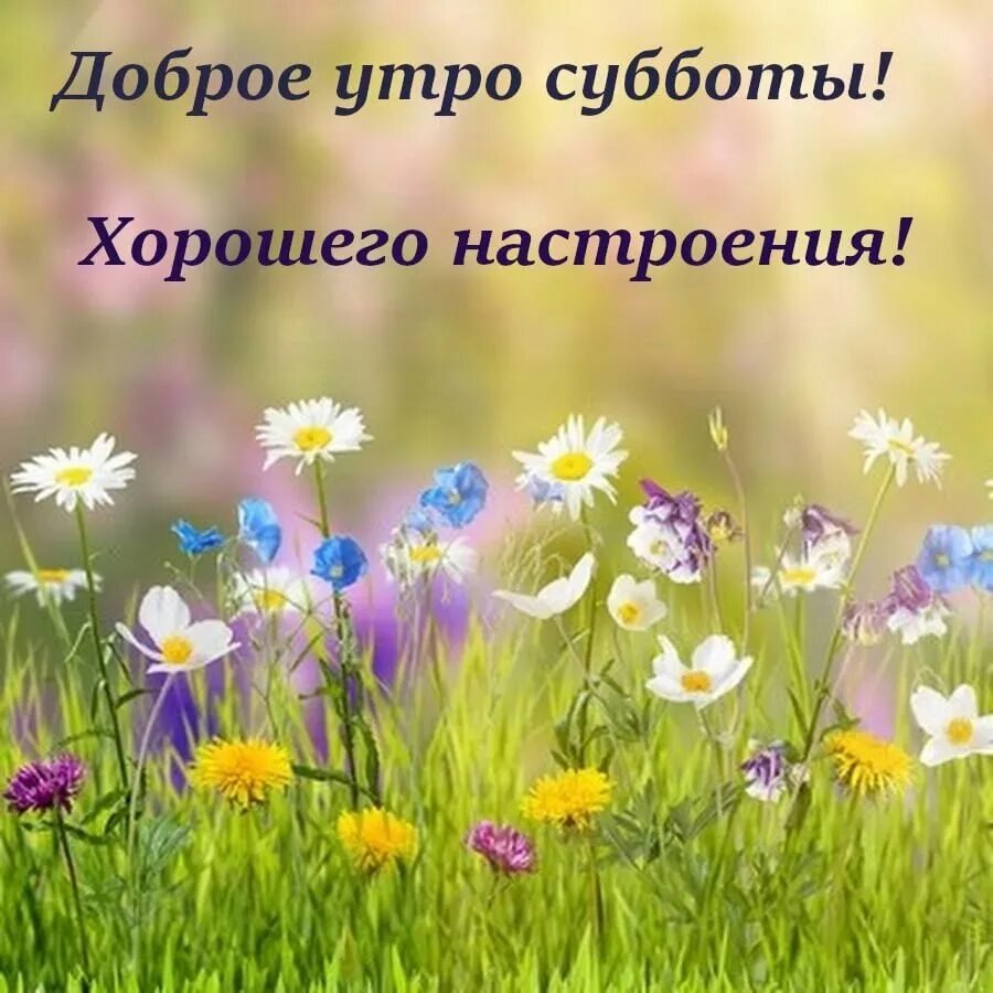 С добрым утром