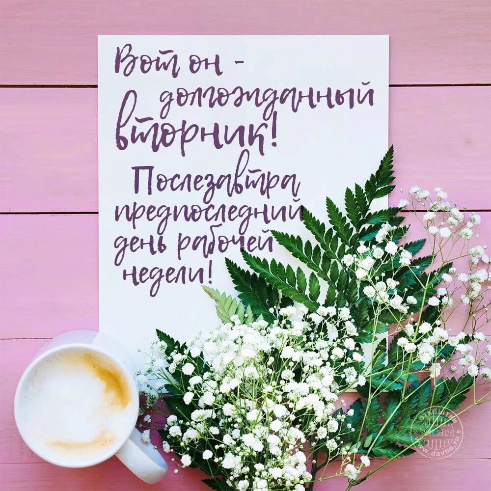 Пожелания доброго дня в картинках природа