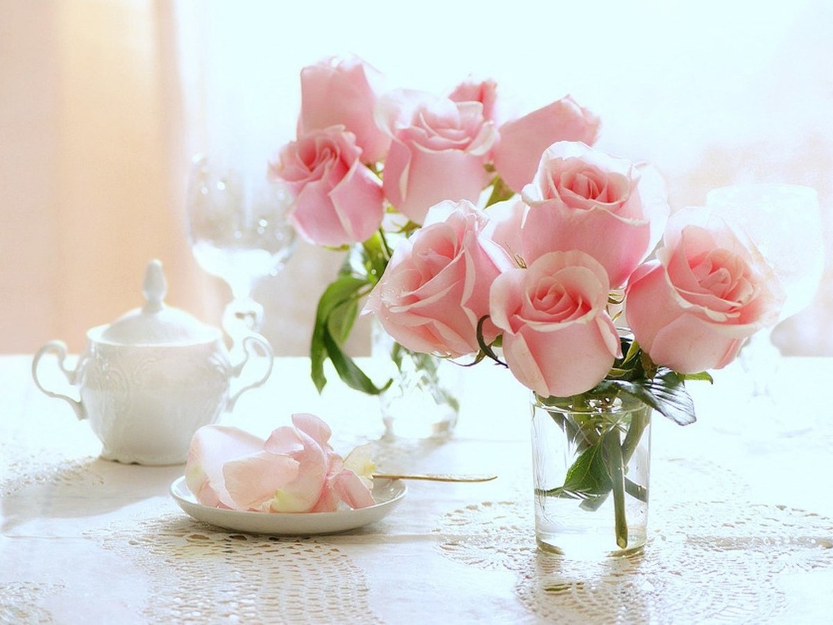 Нежное утро