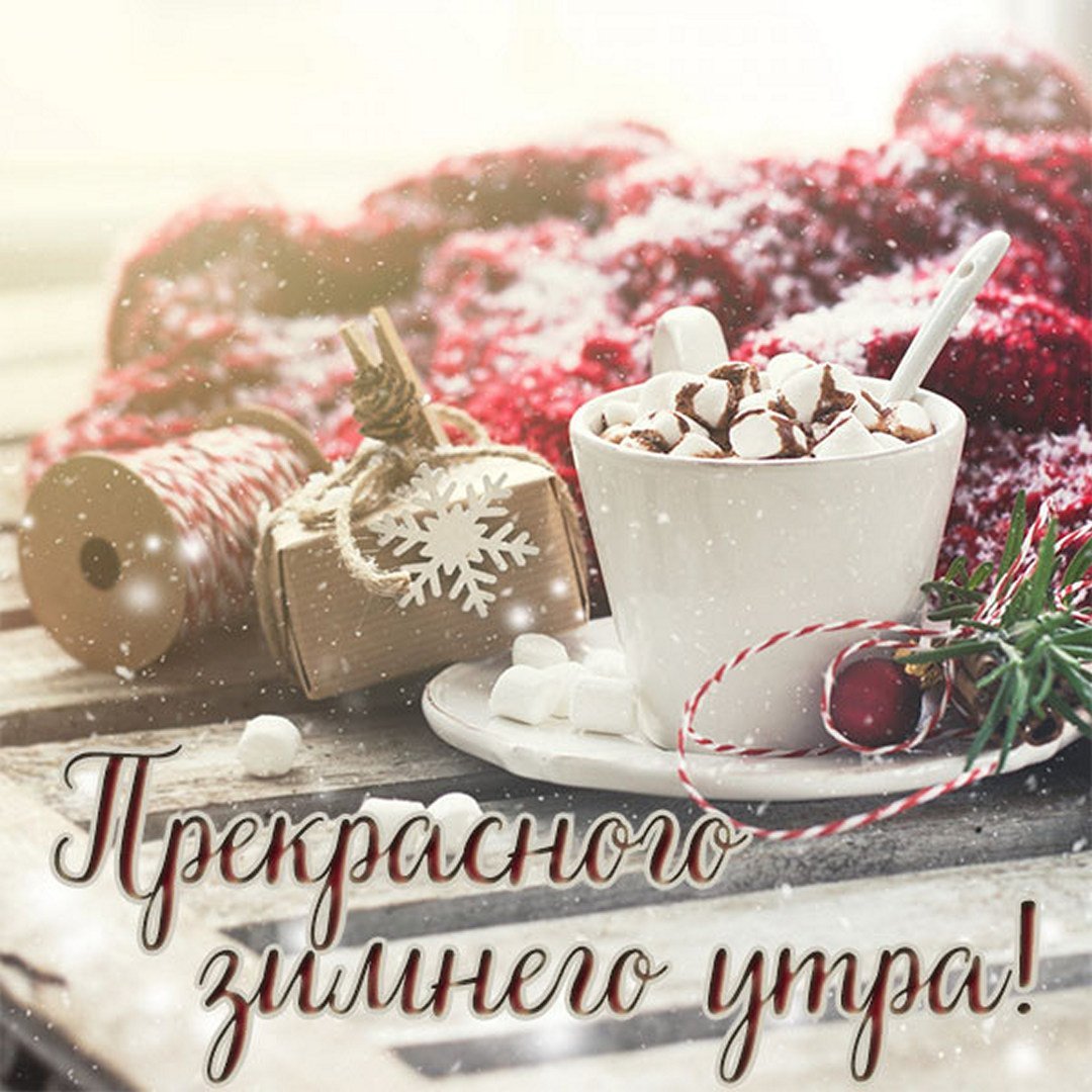 Открытки с добрым утром с апельсинами