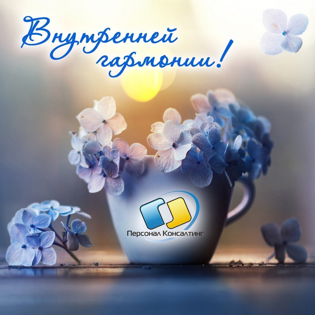 Утро море цветы