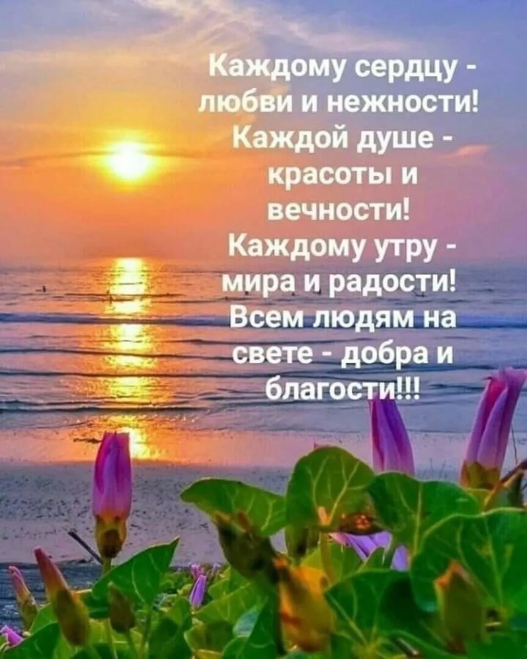 Красивые афоризмы с добрым утром