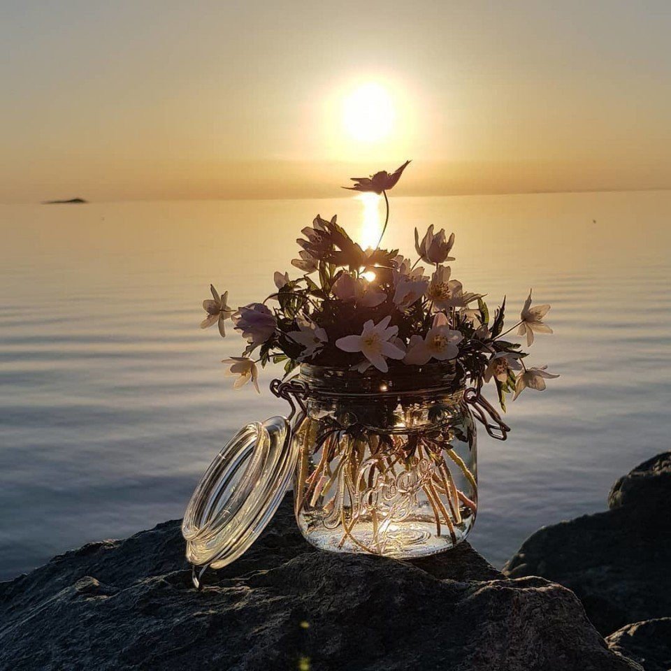 Каждому сердцу любви и нежности