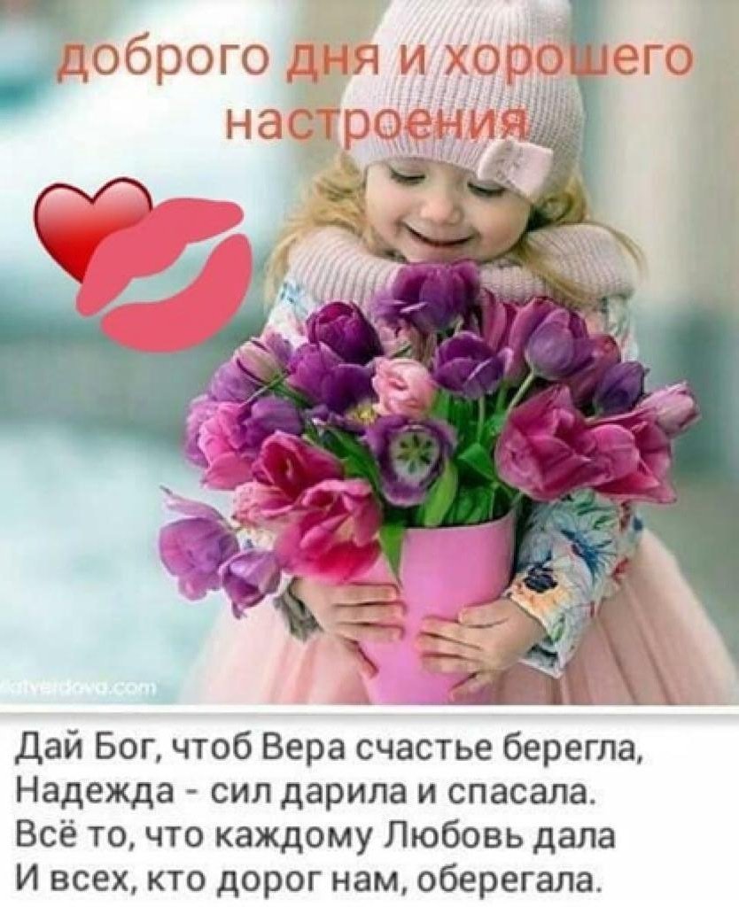 Пожелания мира и добра на земле