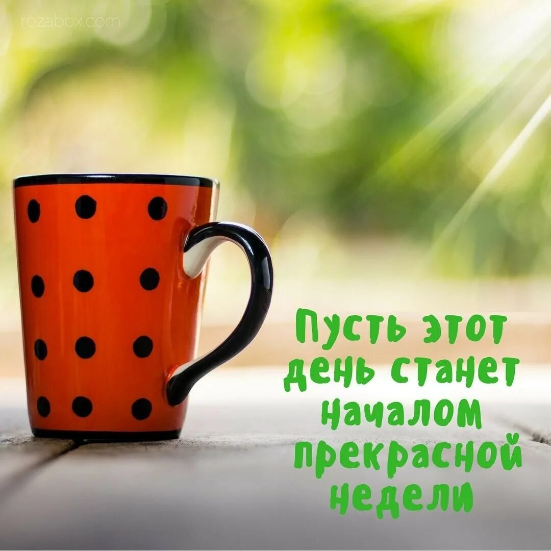 Пожелания доброго утра прикольные