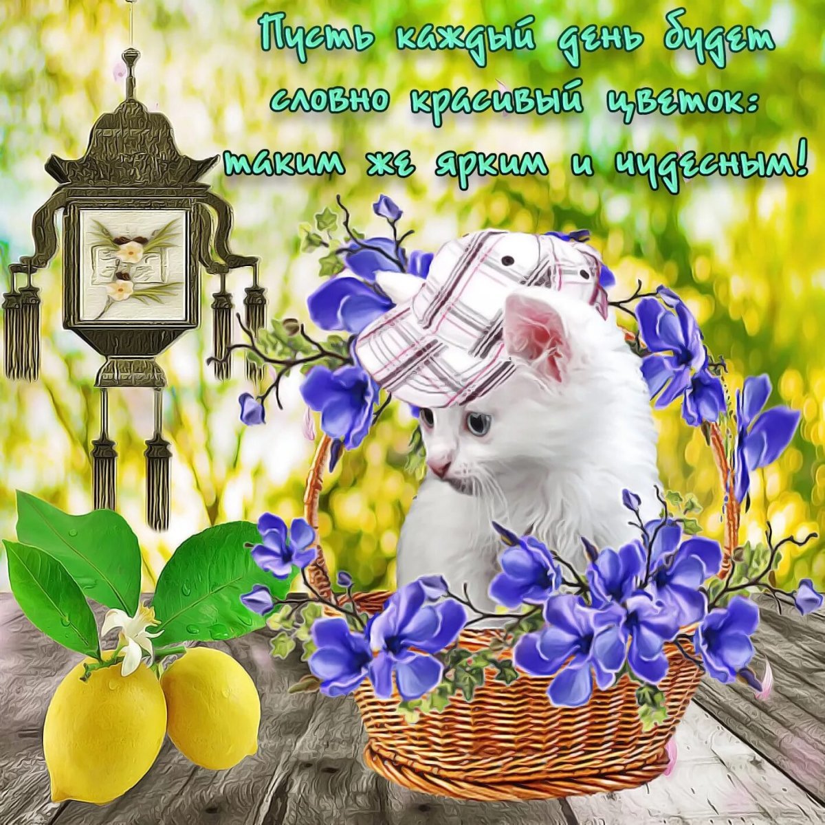 Пожелания с добрым утром прикольные