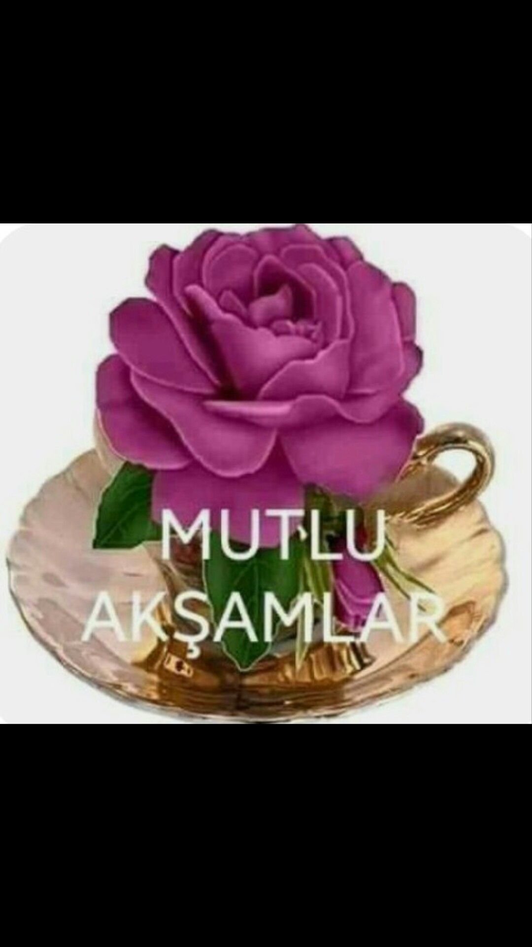 Море красивых цветов