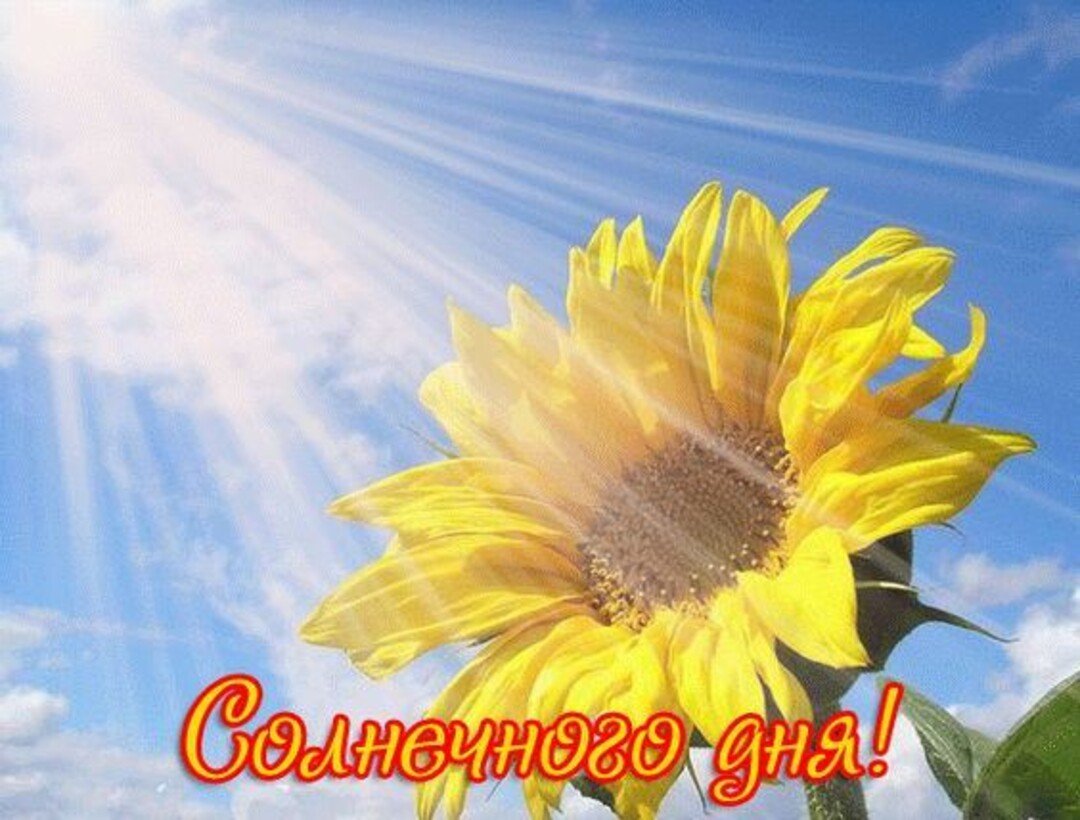 Пусть день принесет радость и удачу