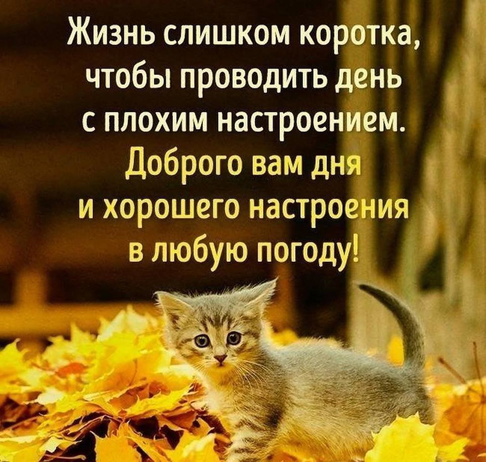 «У природы нет плохой погоды! Каждая погода благодать…»