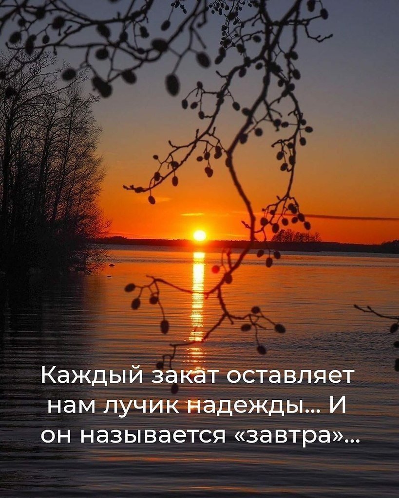 Приятный вечер цитаты