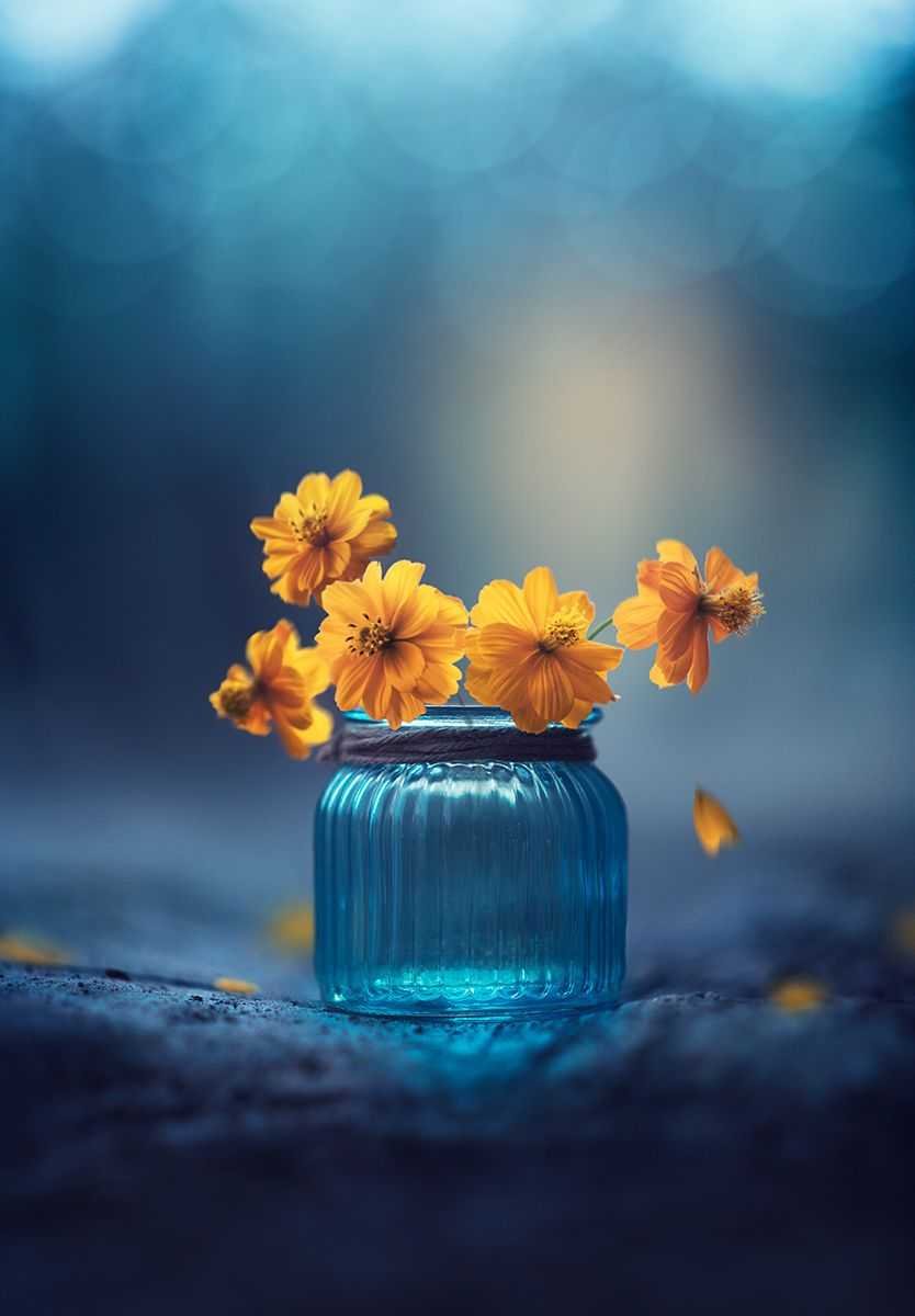 Цитаты про вечер