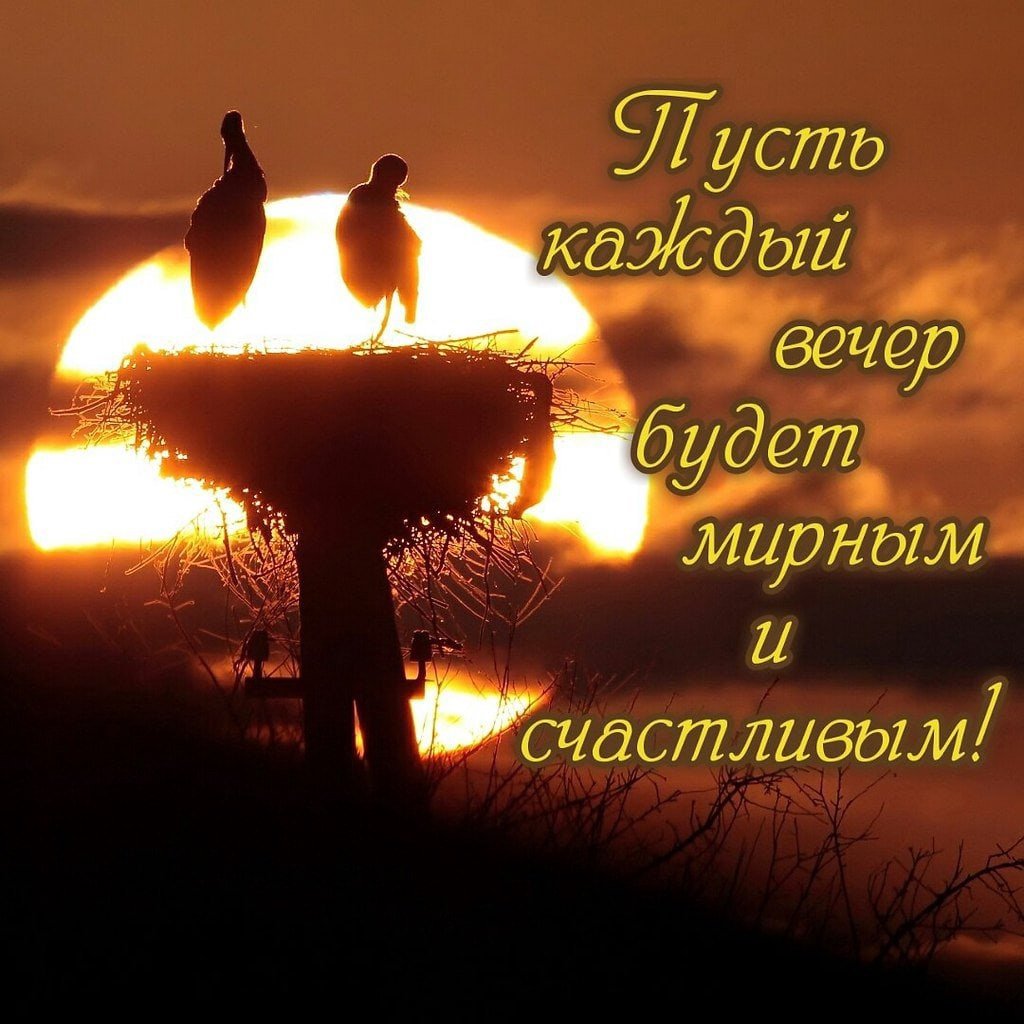 Спокойной ночи