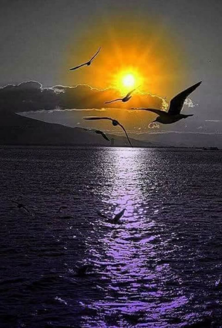 Спокойной летней ночи