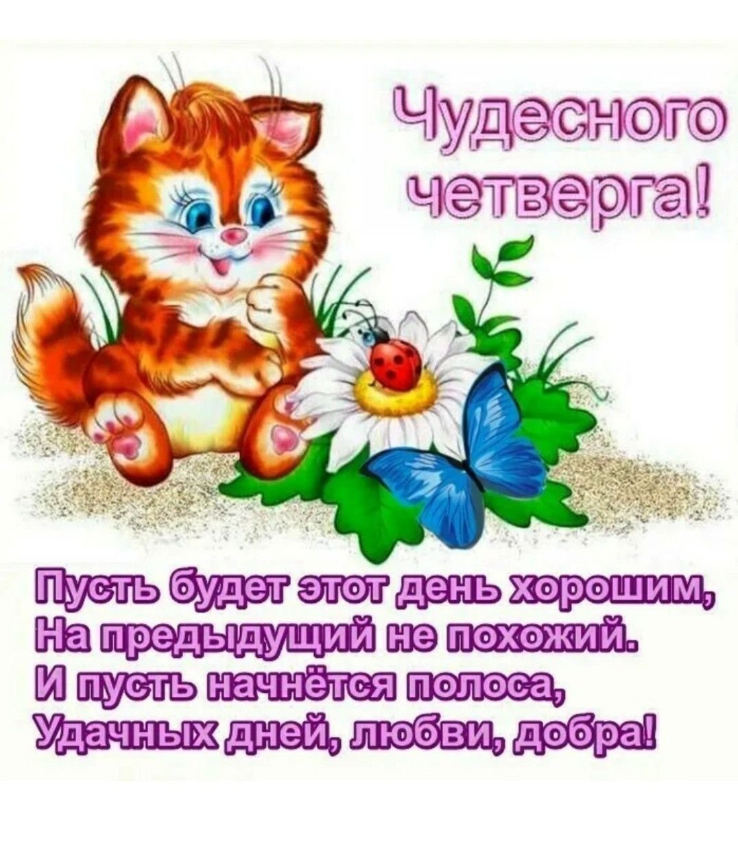 Доброе утро четверга