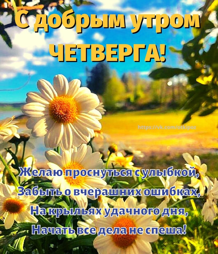 Открытка доброе утро четверг