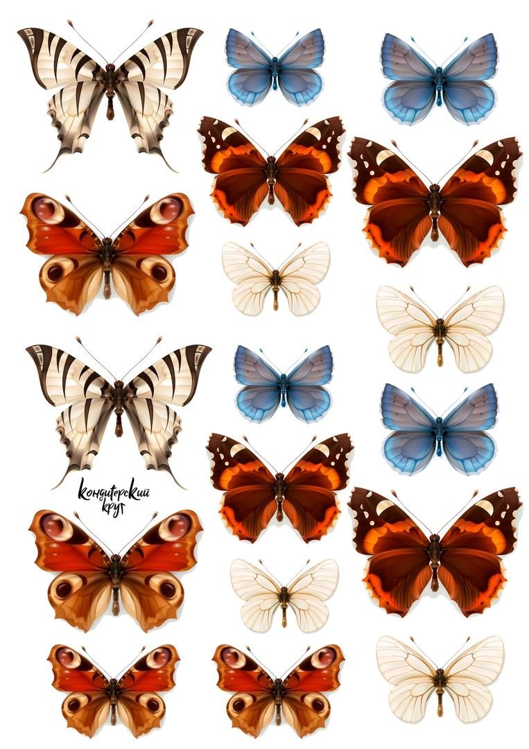 Четыре бабочки