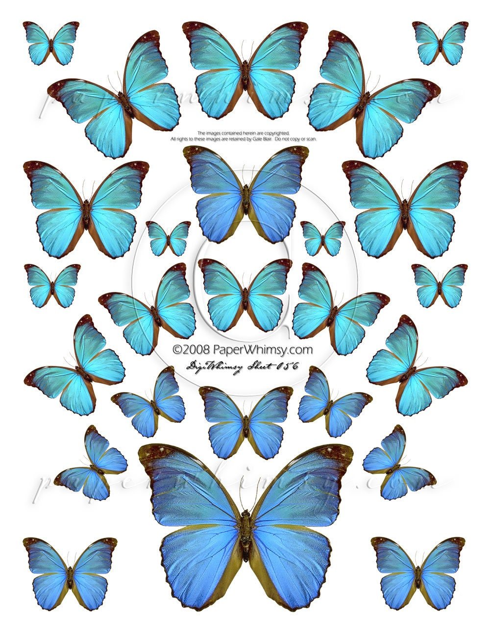 Сиреневые бабочки