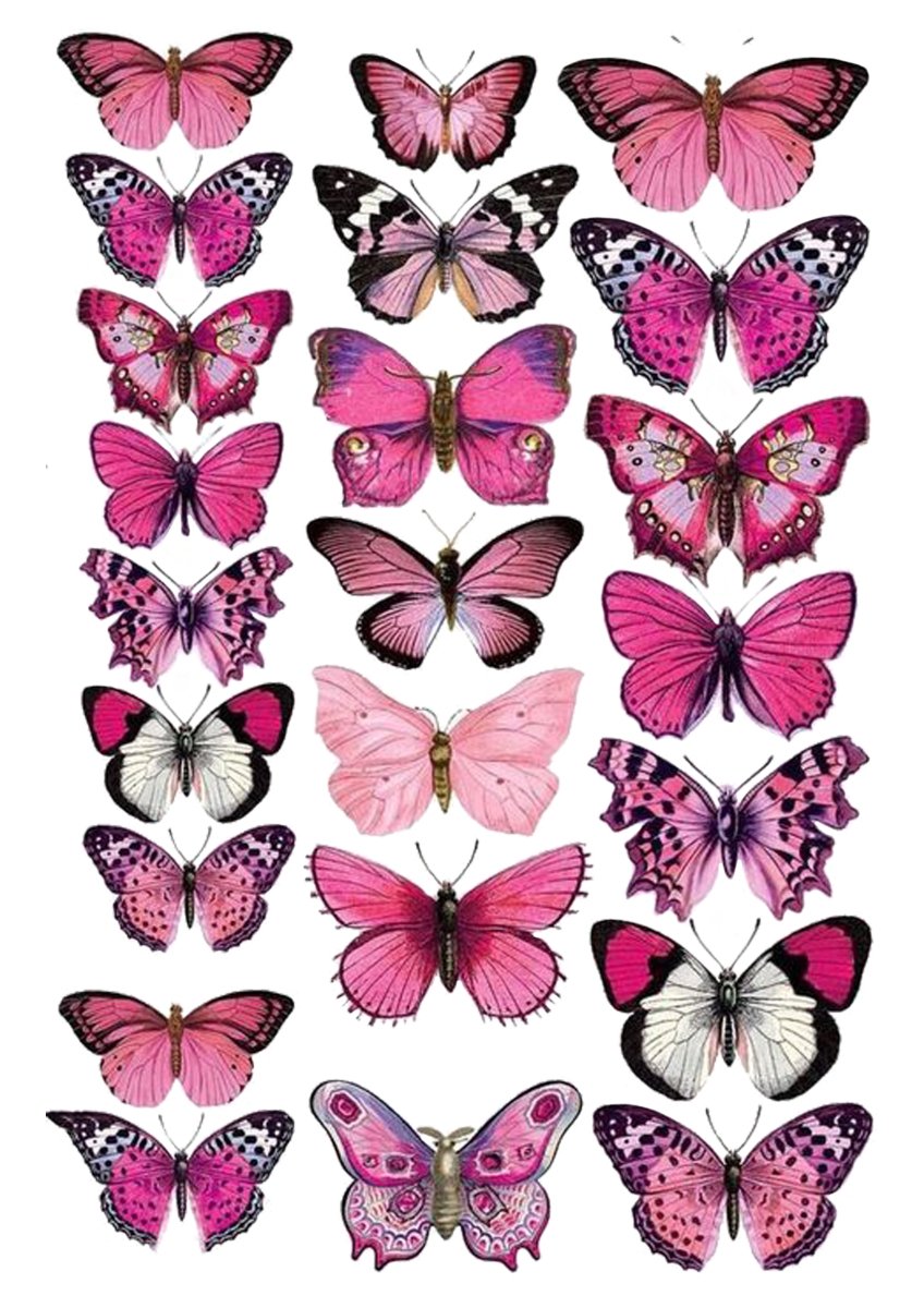 Бабочки цветные