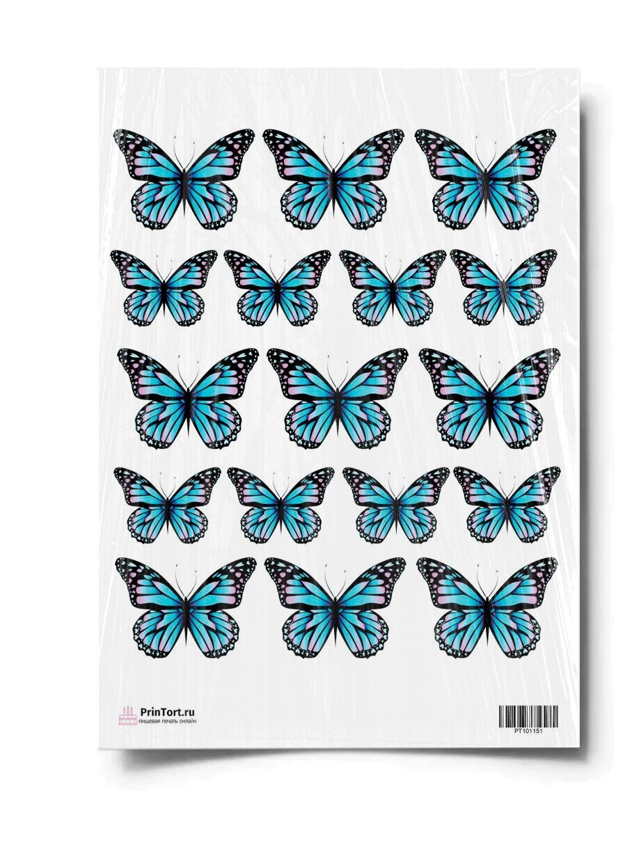 Бабочки сиреневые фотопечать