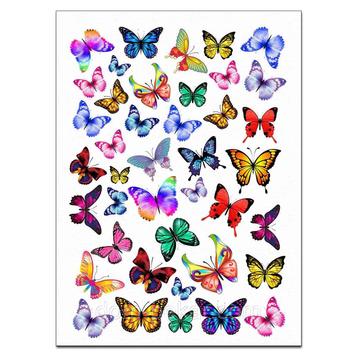 Синие бабочки для печати