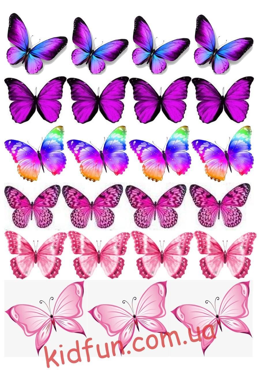 Бабочка фиолетовая