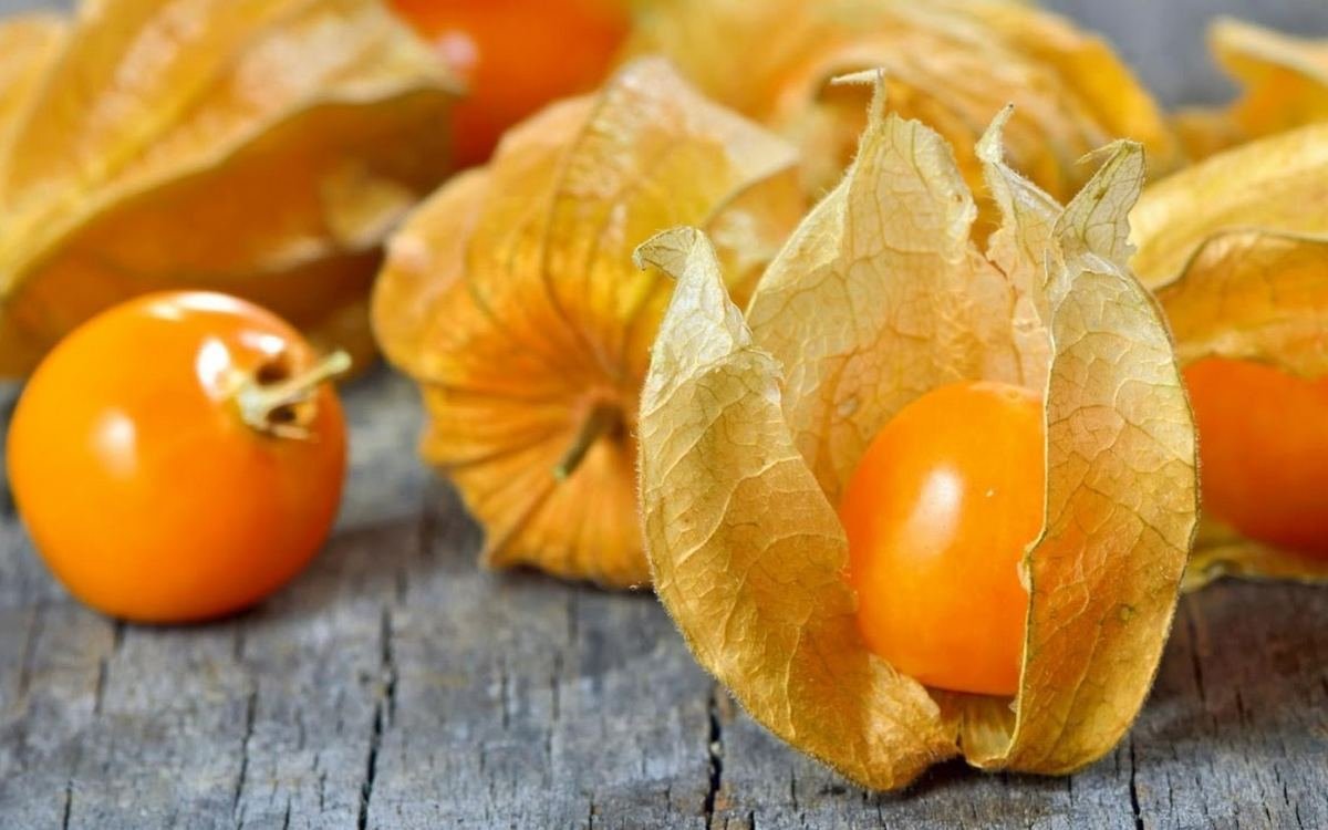 Физалис Королек