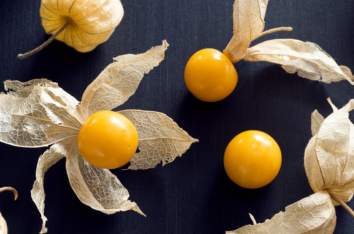 Физалис крыжовник