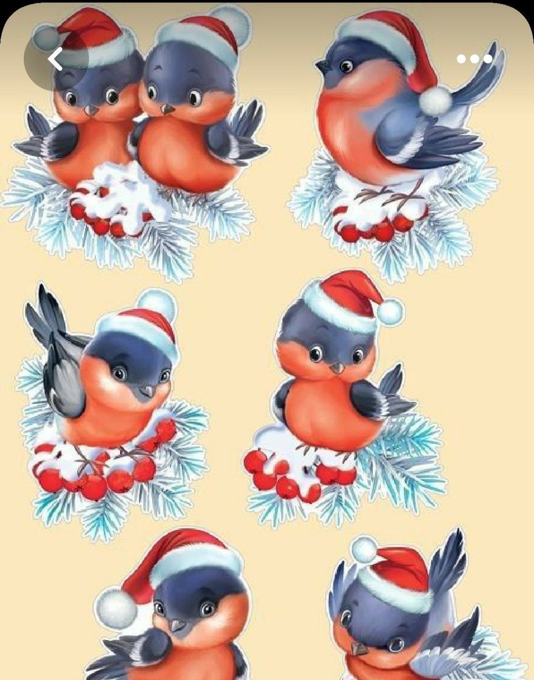 Новогодние птички