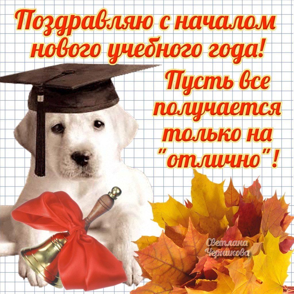 С днем студента