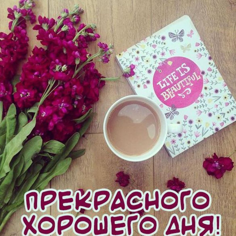 Доброго дня для инстаграма