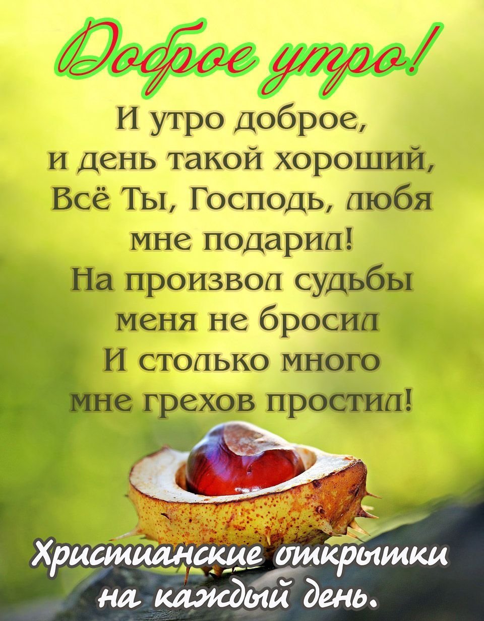 Красивые зимние поздравления с добрым утром