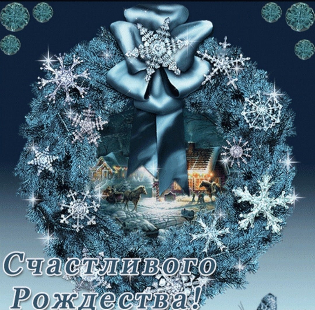 Среда, мои чуваки: откуда столько мемов про жаб и как ответственно подготовиться к жабосреде