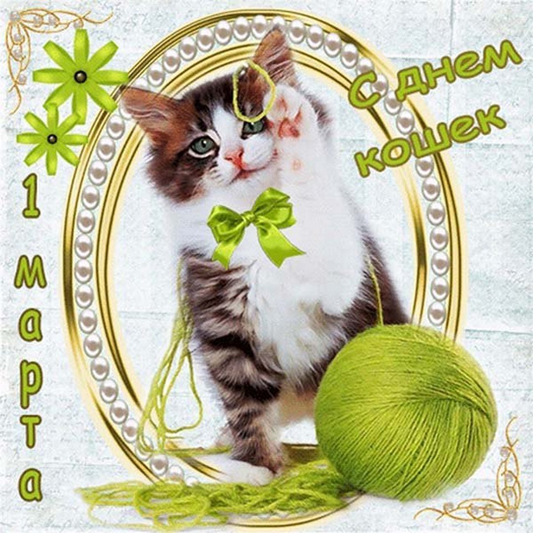 День кошек открытки