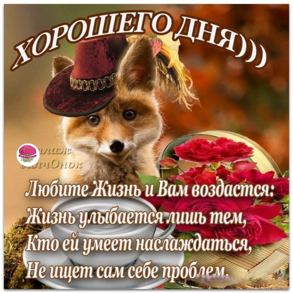 Хорошего дня с пожеланиями с лисичками