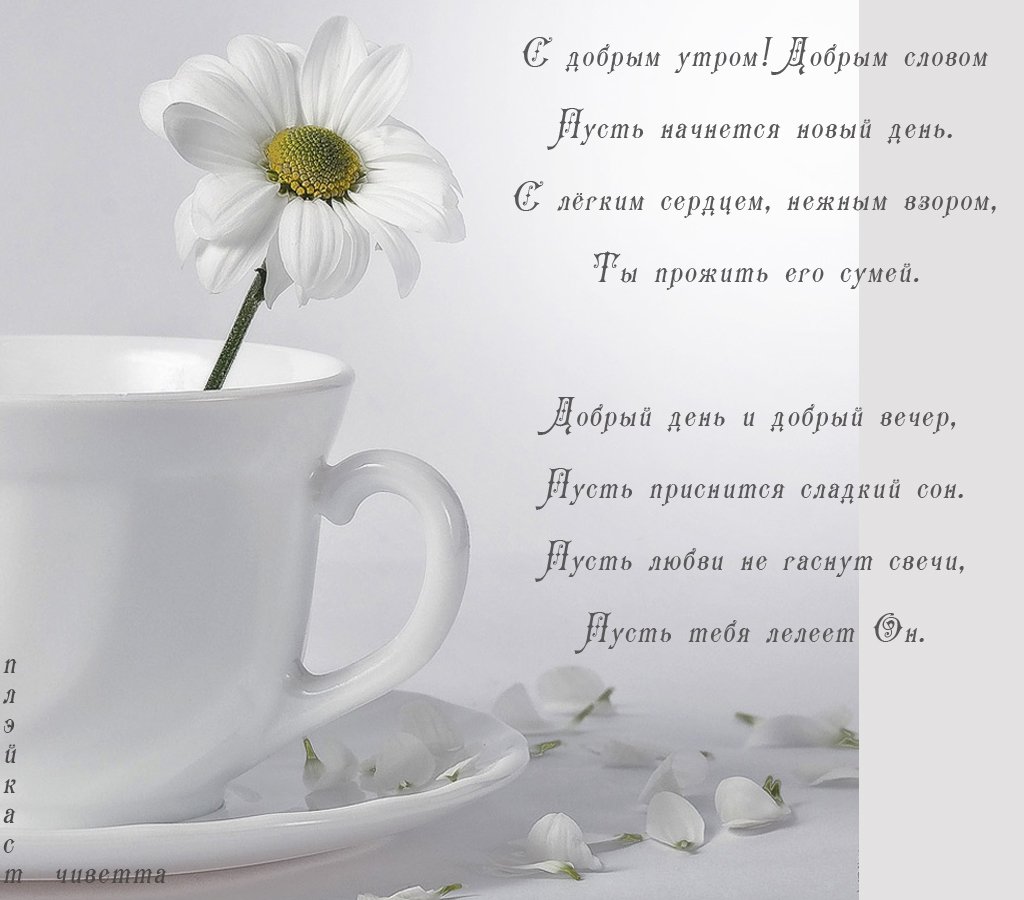 Нежные пожелания хорошего дня любимому мужчине